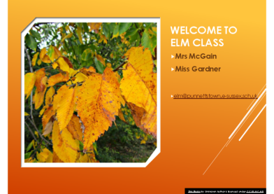Elm Class Meet the Teacher 2026-27